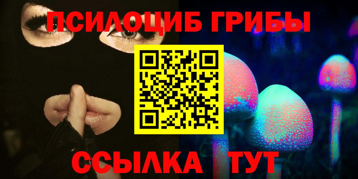 Псилоцибиновые грибы мицелий  Псилоцибиновые грибы прущие грибы  Гуково  Вход с VPN 